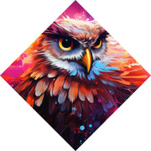 Lade das Bild in den Galerie-Viewer, Aluminiumbild gebürstet Abstrakte dynamische Eule Raute