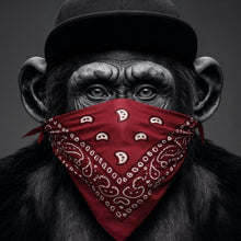 Lade das Bild in den Galerie-Viewer, Aluminiumbild Affenporträt mit Bandana Quadrat