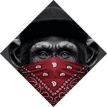 Lade das Bild in den Galerie-Viewer, Aluminiumbild gebürstet Affenporträt mit Bandana Raute