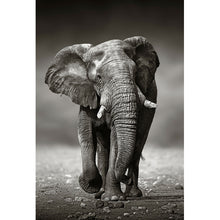 Lade das Bild in den Galerie-Viewer, Poster Afrikanischer Elefant in Schwarz Weiß Hochformat