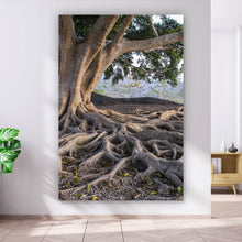 Lade das Bild in den Galerie-Viewer, Leinwandbild Alter Baum mit Wurzeln Hochformat