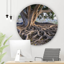 Lade das Bild in den Galerie-Viewer, Aluminiumbild gebürstet Alter Baum mit Wurzeln Kreis