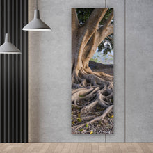 Lade das Bild in den Galerie-Viewer, Poster Alter Baum mit Wurzeln Panorama Hoch