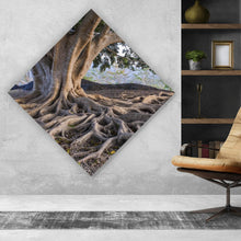 Lade das Bild in den Galerie-Viewer, Aluminiumbild Alter Baum mit Wurzeln Raute