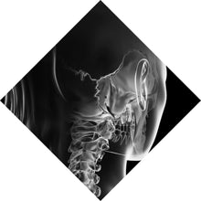 Lade das Bild in den Galerie-Viewer, Poster Anatomische Röntgenkunst Raute