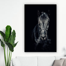 Lade das Bild in den Galerie-Viewer, Poster Ausdrucksvolles Portrait eines schwarzen Pferdes Hochformat