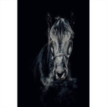 Lade das Bild in den Galerie-Viewer, Spannrahmenbild Ausdrucksvolles Portrait eines schwarzen Pferdes Hochformat