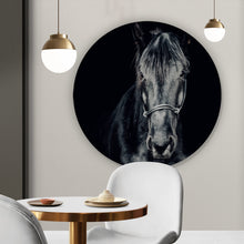 Lade das Bild in den Galerie-Viewer, Aluminiumbild Ausdrucksvolles Portrait eines schwarzen Pferdes Kreis
