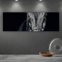 Lade das Bild in den Galerie-Viewer, Poster Ausdrucksvolles Portrait eines schwarzen Pferdes Panorama
