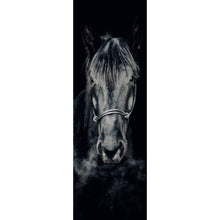Lade das Bild in den Galerie-Viewer, Acrylglasbild Ausdrucksvolles Portrait eines schwarzen Pferdes Panorama Hoch