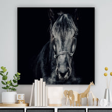 Lade das Bild in den Galerie-Viewer, Poster Ausdrucksvolles Portrait eines schwarzen Pferdes Quadrat