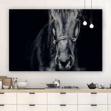 Lade das Bild in den Galerie-Viewer, Poster Ausdrucksvolles Portrait eines schwarzen Pferdes Querformat