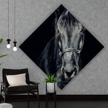 Lade das Bild in den Galerie-Viewer, Poster Ausdrucksvolles Portrait eines schwarzen Pferdes Raute