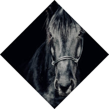 Lade das Bild in den Galerie-Viewer, Poster Ausdrucksvolles Portrait eines schwarzen Pferdes Raute