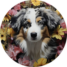 Lade das Bild in den Galerie-Viewer, Aluminiumbild gebürstet Australian Shepherd umgeben von Blumenmeer Kreis