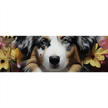 Lade das Bild in den Galerie-Viewer, Aluminiumbild gebürstet Australian Shepherd umgeben von Blumenmeer Panorama