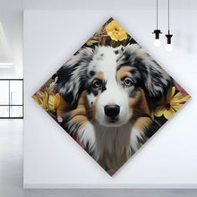 Lade das Bild in den Galerie-Viewer, Acrylglasbild Australian Shepherd umgeben von Blumenmeer Raute