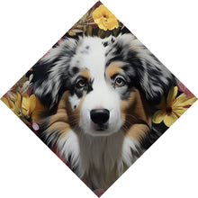 Lade das Bild in den Galerie-Viewer, Aluminiumbild gebürstet Australian Shepherd umgeben von Blumenmeer Raute