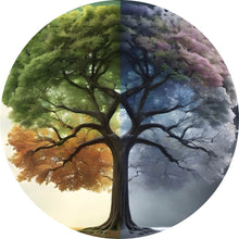 Lade das Bild in den Galerie-Viewer, Aluminiumbild gebürstet Baum 4 Jahreszeiten Kreis