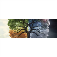 Lade das Bild in den Galerie-Viewer, Poster Baum 4 Jahreszeiten Panorama