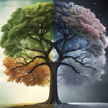 Lade das Bild in den Galerie-Viewer, Poster Baum 4 Jahreszeiten Quadrat