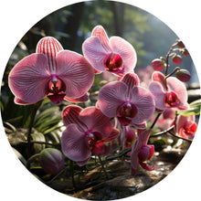 Lade das Bild in den Galerie-Viewer, Aluminiumbild gebürstet Beeindruckende Orchideen im Naturparadies Kreis