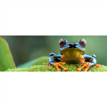 Lade das Bild in den Galerie-Viewer, Leinwandbild Beeindruckender Frosch in der Natur Panorama