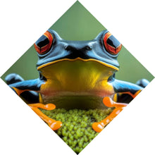 Lade das Bild in den Galerie-Viewer, Aluminiumbild Beeindruckender Frosch in der Natur Raute