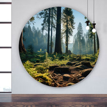 Lade das Bild in den Galerie-Viewer, Aluminiumbild gebürstet Beeindruckender Wald mit Bäumen in der Sonne Kreis