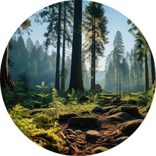 Lade das Bild in den Galerie-Viewer, Aluminiumbild gebürstet Beeindruckender Wald mit Bäumen in der Sonne Kreis