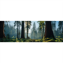 Lade das Bild in den Galerie-Viewer, Aluminiumbild gebürstet Beeindruckender Wald mit Bäumen in der Sonne Panorama