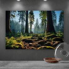 Lade das Bild in den Galerie-Viewer, Poster Beeindruckender Wald mit Bäumen in der Sonne Querformat