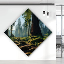 Lade das Bild in den Galerie-Viewer, Aluminiumbild Beeindruckender Wald mit Bäumen in der Sonne Raute