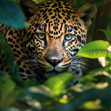 Lade das Bild in den Galerie-Viewer, Aluminiumbild Beeindruckendes Leoparden Porträt im Dschungel Quadrat