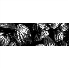 Lade das Bild in den Galerie-Viewer, Leinwandbild Blätterwald Panorama