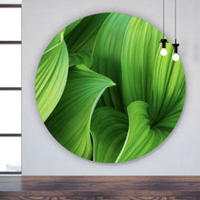 Lade das Bild in den Galerie-Viewer, Aluminiumbild Blattwerk in lebendigem Grün Kreis