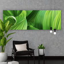 Lade das Bild in den Galerie-Viewer, Spannrahmenbild Blattwerk in lebendigem Grün Panorama