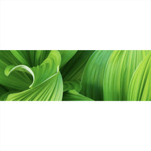 Lade das Bild in den Galerie-Viewer, Leinwandbild Blattwerk in lebendigem Grün Panorama