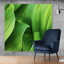 Lade das Bild in den Galerie-Viewer, Acrylglasbild Blattwerk in lebendigem Grün Quadrat