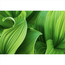 Lade das Bild in den Galerie-Viewer, Aluminiumbild Blattwerk in lebendigem Grün Querformat