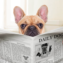 Lade das Bild in den Galerie-Viewer, Aluminiumbild gebürstet Bulldog on the Toilette Quadrat