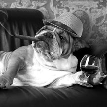 Lade das Bild in den Galerie-Viewer, Aluminiumbild gebürstet Bulldogge auf Ledersessel mit Zigarre und Hut Quadrat