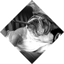 Lade das Bild in den Galerie-Viewer, Spannrahmenbild Bulldogge auf Ledersessel mit Zigarre und Hut Raute