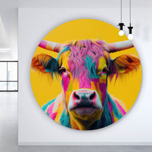 Lade das Bild in den Galerie-Viewer, Aluminiumbild gebürstet Buntes modernes Hochlandrind vor gelben Hintergrund Kreis