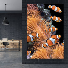 Lade das Bild in den Galerie-Viewer, Aluminiumbild gebürstet Clownfische schwimmen im lebendigen Korallenriff Hochformat