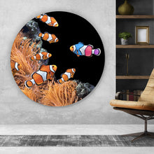 Lade das Bild in den Galerie-Viewer, Aluminiumbild gebürstet Clownfische schwimmen im lebendigen Korallenriff Kreis