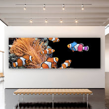 Lade das Bild in den Galerie-Viewer, Aluminiumbild gebürstet Clownfische schwimmen im lebendigen Korallenriff Panorama