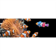 Lade das Bild in den Galerie-Viewer, Aluminiumbild Clownfische schwimmen im lebendigen Korallenriff Panorama