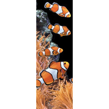 Lade das Bild in den Galerie-Viewer, Leinwandbild Clownfische schwimmen im lebendigen Korallenriff Panorama Hoch