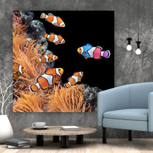 Lade das Bild in den Galerie-Viewer, Leinwandbild Clownfische schwimmen im lebendigen Korallenriff Quadrat